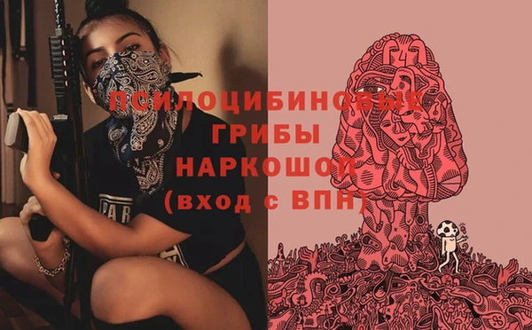 индика Одинцово