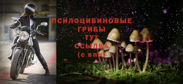 круглые Березники