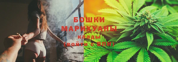2c-b Долгопрудный