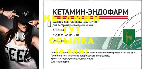 хмурый Мегион